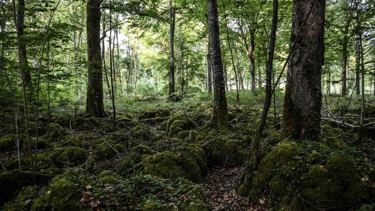 FILES-FRANCE-ENVIRONMENT-NATURE-ANIMALS-BIODIVERSITY