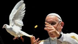 Papst Franziskus lässt eine weiße Taube fliegen - sie gilt auch als Symbol des Friedens - der scheint im Nahostkonflikt aber leider in weiter Ferne