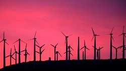 Ілюстрацыйнае фота