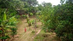 Amazónia perui részén