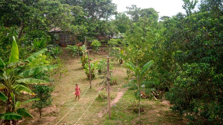 Amazónia perui részén