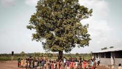 image d'illustration