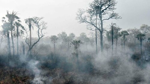 Una veduta aerea della Foresta amazzonica in Brasile (Afp)