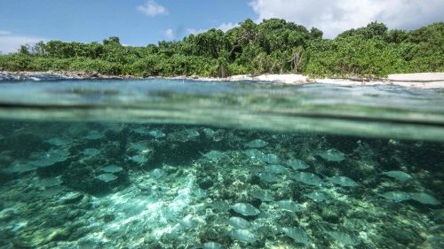 Victoire pour le peuple de Chagos, «une cause juste soutenue par l’Église»