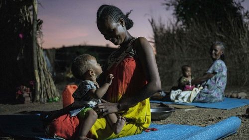 &Auml;thiopien: Kirchen-Appelle zu Heuschrecken, Covid und Krieg