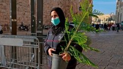 Palästinenserin mit Christbaum am Jaffa-Tor von Jerusalems Altstadt