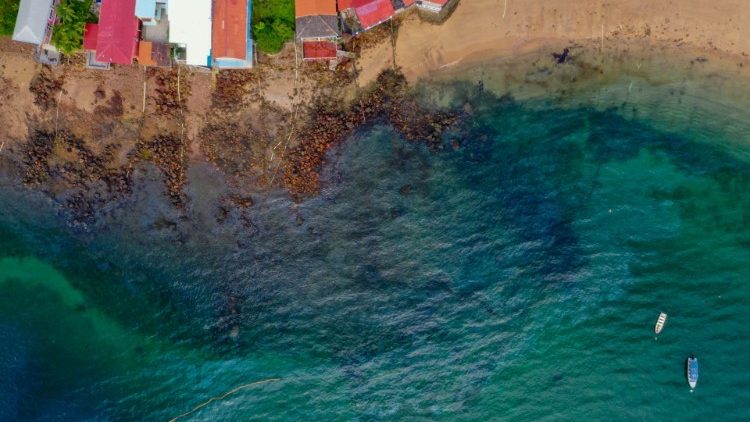 Wyciek ropy w Panamie, 2021 r.