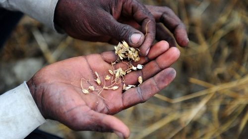 D: „Keine Zeit für Kürzungen“