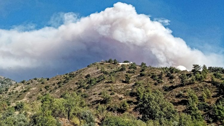 साइप्रस द्वीप के जंगलों में लगे आग से उठते धुएँ