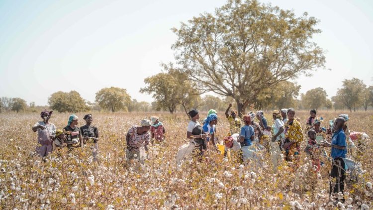 Frauen in der Landwirtschaft im ländlichen Mali, Afrika
