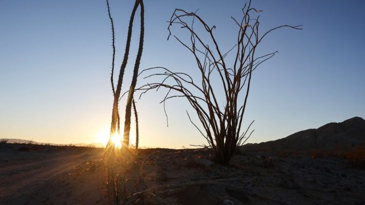 Jangwani ni mahali pa mapambano ya maisha, sala na kufunga