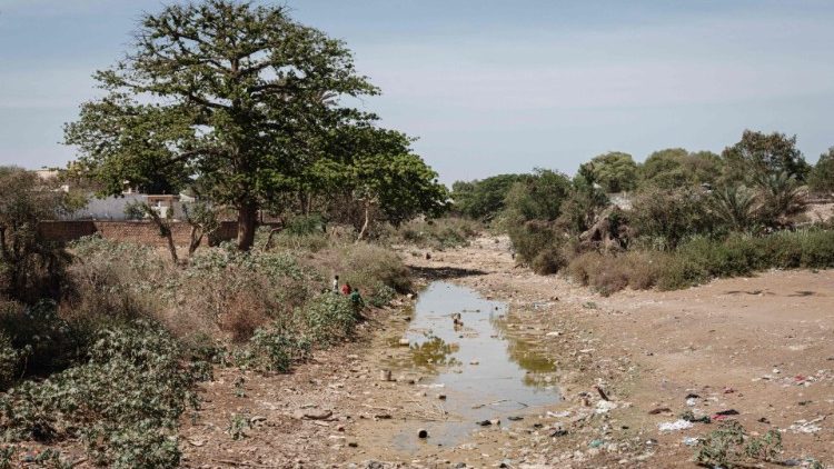 Une zone de la Somalie qui subit la désertification ayant forcé au déplacement les habitants