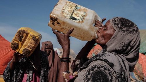 Kenia: Mit Agrarökologie gegen Dürre und Hungersnot