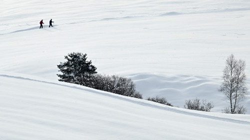 D: Mehr als 400 Missbrauchsbetroffene im Bistum Osnabrück