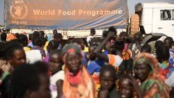 Das Welternährungsprogramm hilft dort, wo akut gehungert wird (hier Südsudan)