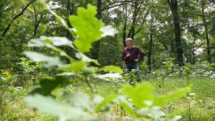 Im Park von Sanssouci bei Potsdam