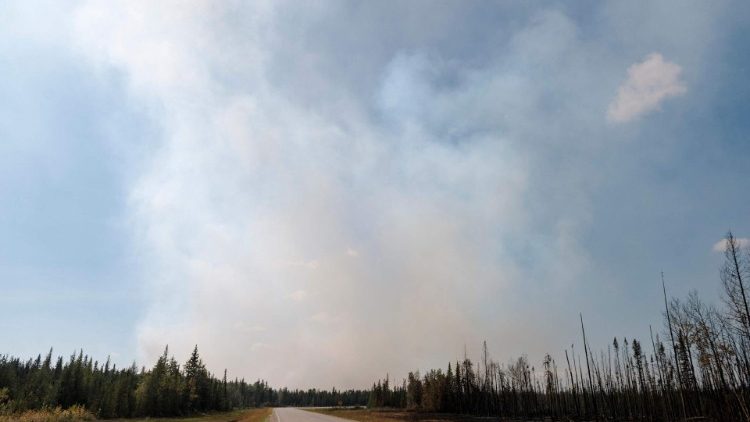  La grave sequía también ha producido otros incendios que se han registrado más cerca de la frontera con Estados Unidos y en el noroeste del Pacífico estadounidense. (AFP or licensors)