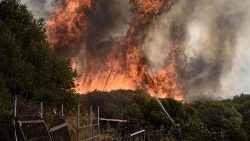 Wildfires burn forests in Alexandroupolis in north-eastern Greece
