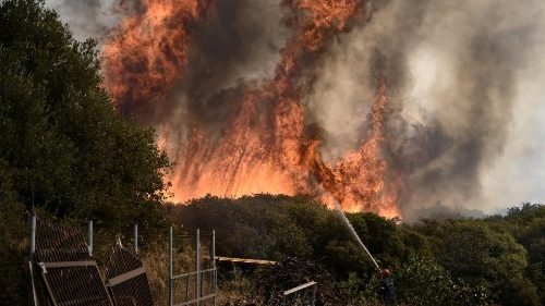 Wildfires claim the lives of 18 migrants in Greece