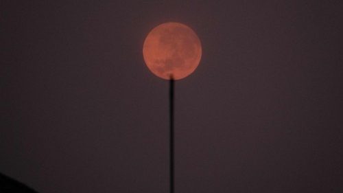 Indonesien: Jesuiten betreiben Landwirtschaftszentrum