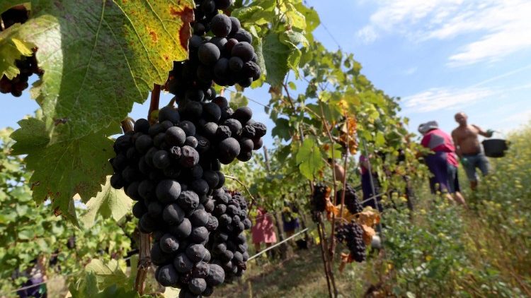 Mkikaa ndani ya Kristo Mtazaa matunda ya haki, amani na utakatifu wa maisha