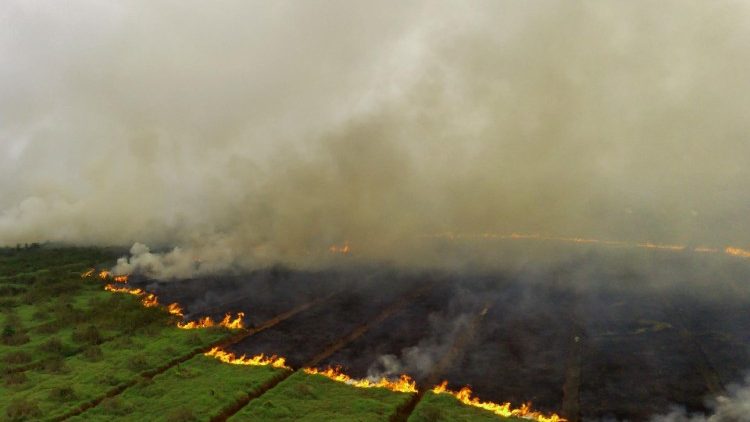 TOPSHOT-INDONESIA-ENVIRONMENT-FIRE