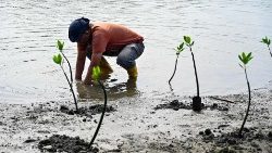 Landwirtschaft in Indonesien