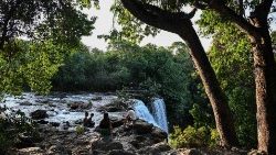 La selva amazónica abarca aproximadamente seis millones de km2 repartidos por nueve países sudamericanos, con casi el 60% ubicado en Brasil (AFP).