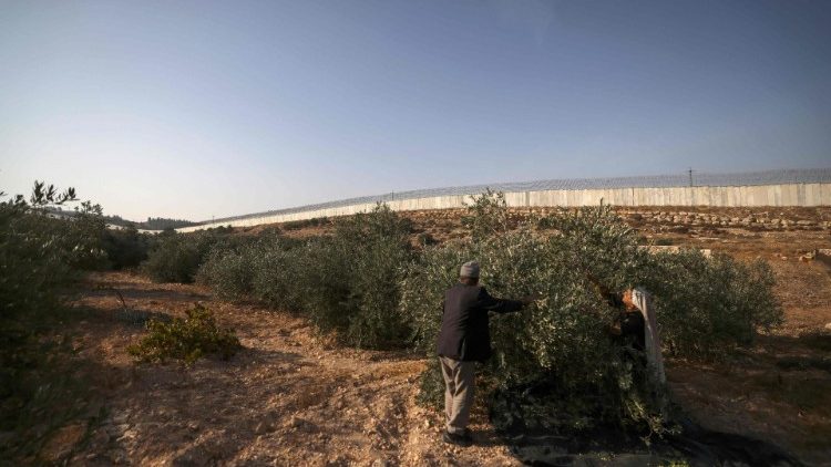 इज़राइल का पृथक्करण दीवार 