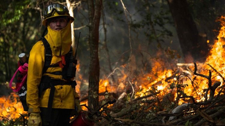 Shughuli za kibinadamu zimechangia uharibifu wa mazingira