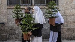 Ordensschwestern tragen Weihnachtsbäume der Jerusalemer Stadtverwaltung durch die Altstadt