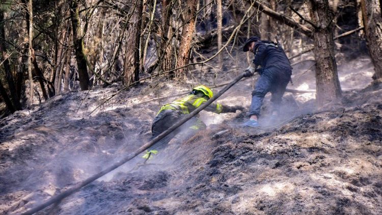 Los prelados pidieron que la plegaria se elevara en todas parroquias y comunidades de fe del país y divulgaron una guía litúrgica.    