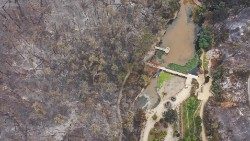 Schäden durch Waldbrände in Chile