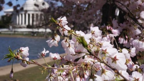 USA: OAS-Friedensbotschafter sollen Religionsdialog f&ouml;rdern