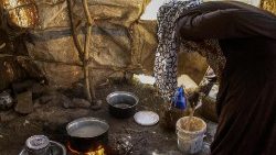 Sudan e Chad : la piaga della carestia