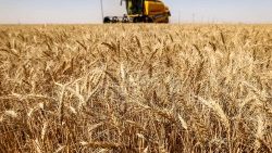 Landwirtschaft (Symbolbild)