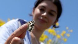 Image d'illustration.     