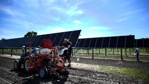 Une ferme agrivoltaïque pour la Cité du Vatican voulue par le Pape François
