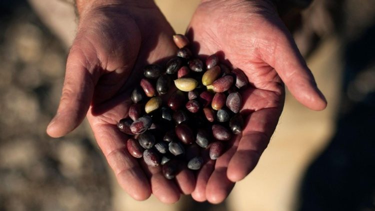 FILES-SPAIN-AGRICULTURE-DROUGHT-CLIMATE-FOOD