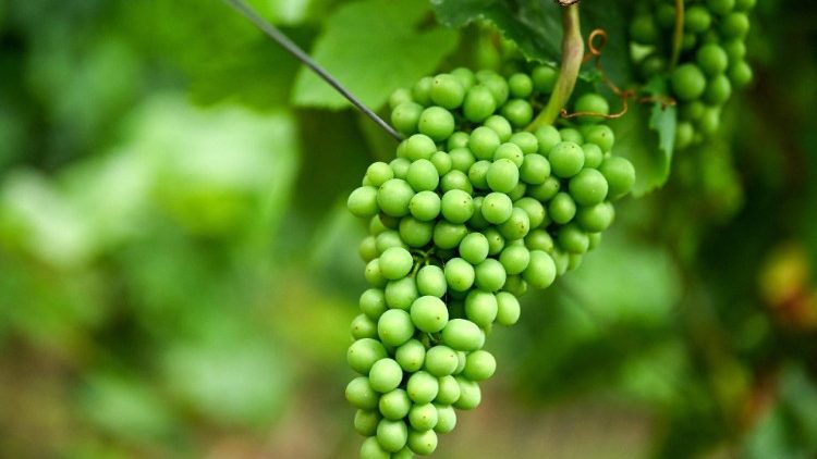 Lengo ni kuzaa matunda ya: Utakatifu, toba na wongofu wa ndani