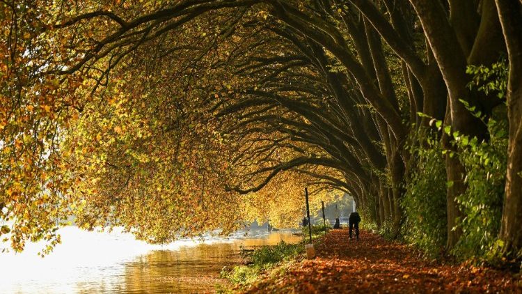 Landschaft bei Essen, Deutschland