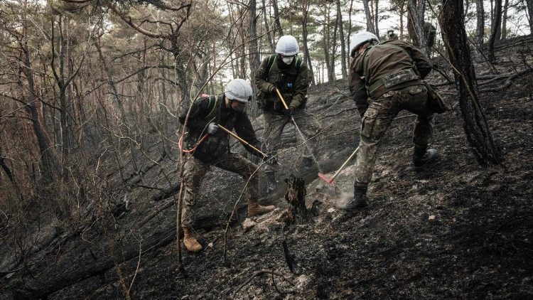 Tragiczne pożary w Korei