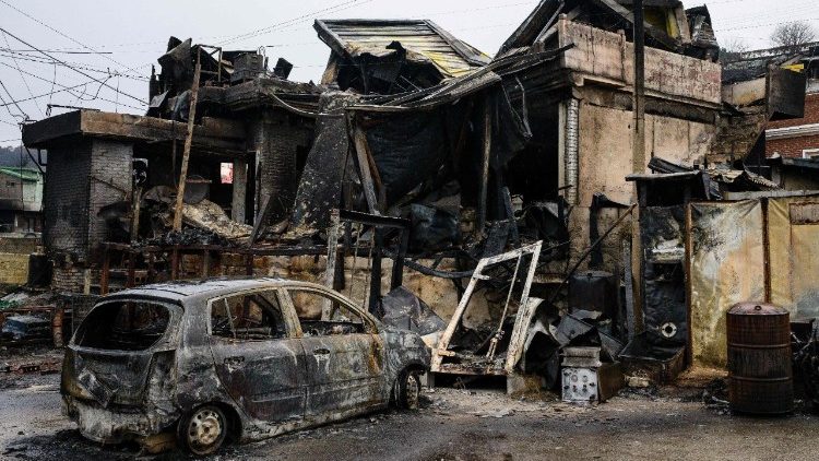 दक्षिण कोरिया के भीषण जंगल की आग में  भस्म हुए बुनियादी ढांचे और वाहन