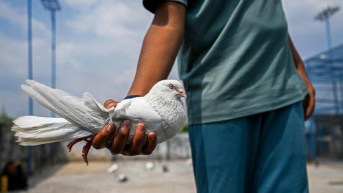 Violência na Caxemira: cristãos paquistaneses lançam apelo ao diálogo e à paz