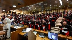 कार्डिनलों के साथ बैठक में संत पापा लियो 14वें