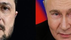 Փութին եւ Զելենսքի