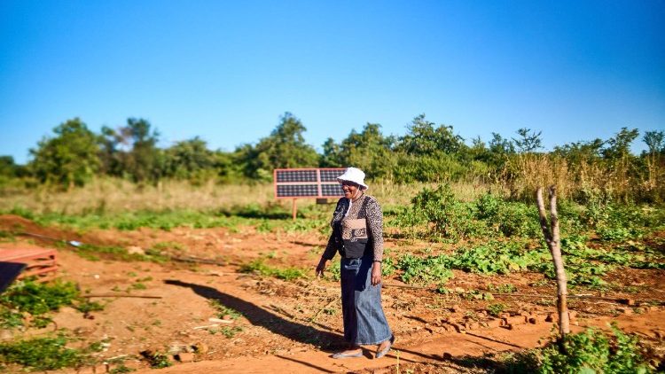 ZIMBABWE-POLITICS-AGRICULTURE