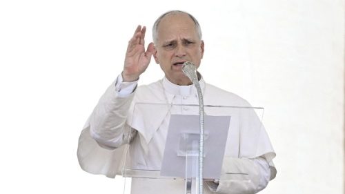 Floribert Bwana Chui, Ndakisa mpo na bilenge ya RDC mpe ya mabele ma Afrika.