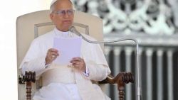 Le Pape lors de l'audience générale, mercredi 25 juin 2025.