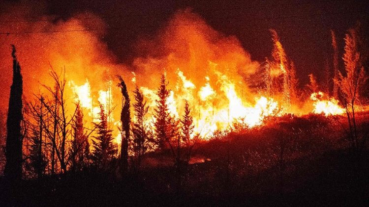 Vasti incendi in Grecia e Turchia a casa dell'ondata anomala di caldo